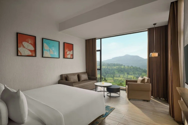 Premium Double room