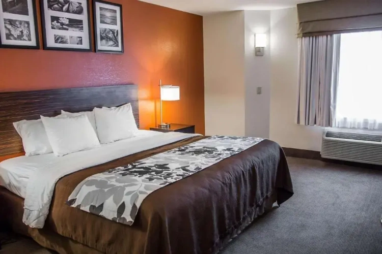 Standard room