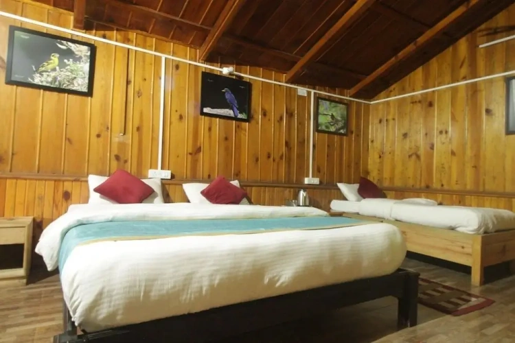 Deluxe Triple room