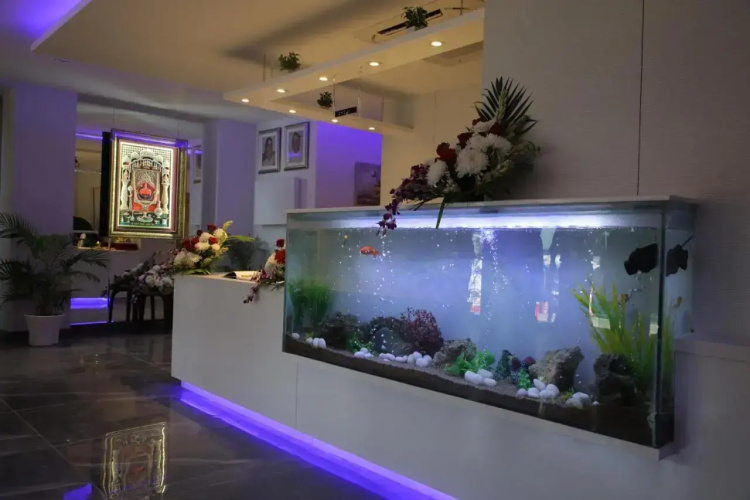 Hotel Kailash Plaza
