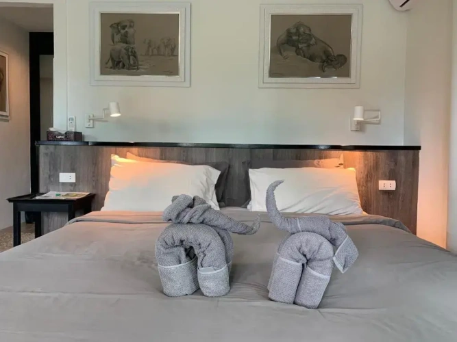 Standard Double room with garden view