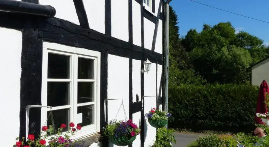 Vine Cottage Bed and Breakfast