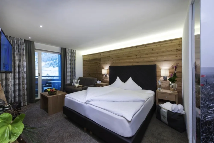 Standard Double room with balcony and with mountain view