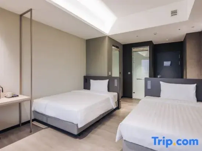 Standard Twin room beachfront
