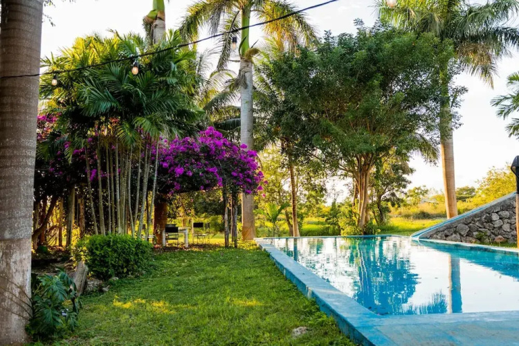 Posada Barahona