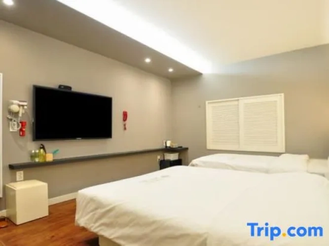 Twin Suite