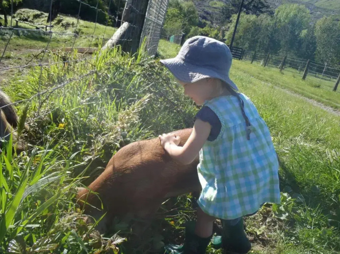 Blackberry Hill Farm