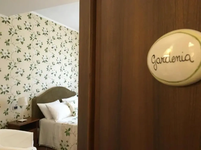 Deluxe Double room with view