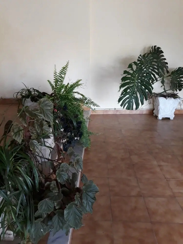 Quinta dos Templários