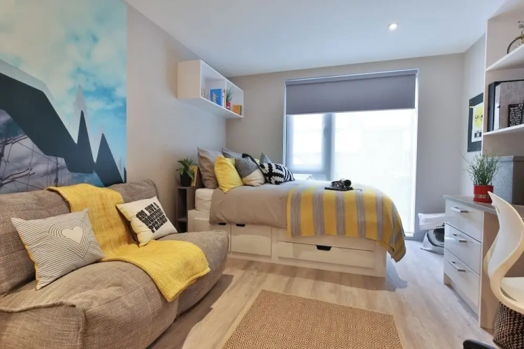 Standard Single room