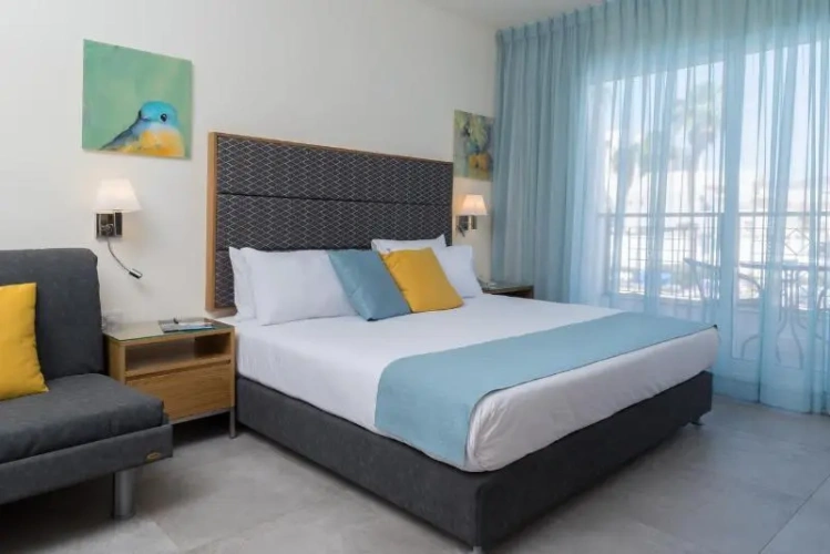 Standard Single room with balcony and with garden view