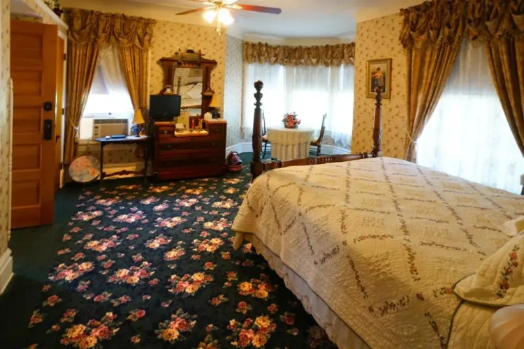 Deluxe Double Suite with view