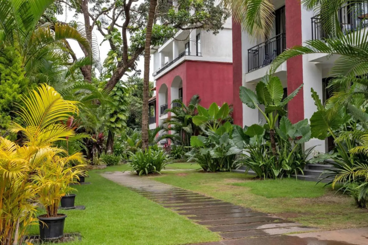 Elegant 1BHK