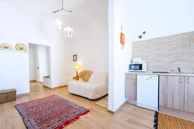 1 Bedroom Apartment