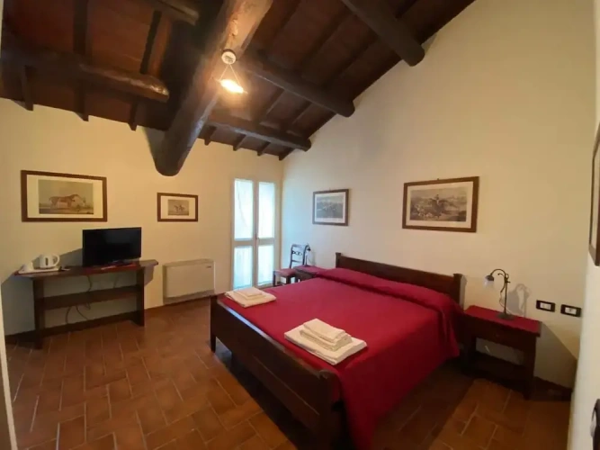 Standard Double room with garden view