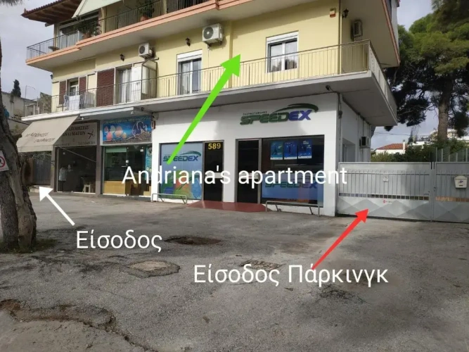 1 Bedroom Apartment