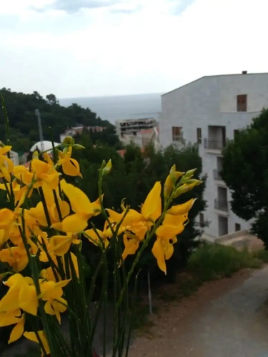 1 Bedroom Apartment with balcony and with sea view