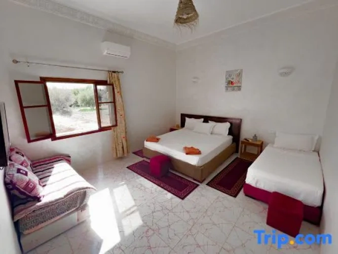 Standard Double Family room