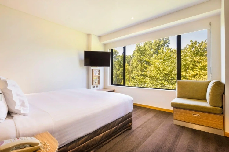 Standard Double room with park view
