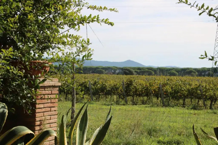 Podere Campo alle Serpi