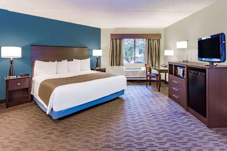 1 Bedroom Double Suite