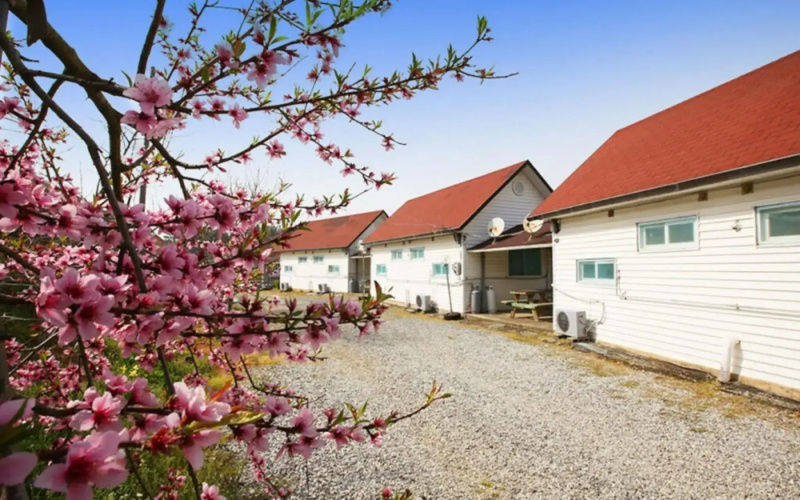 Taean Sujung Pension