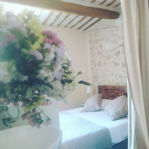 Standard Double room with courtyard view