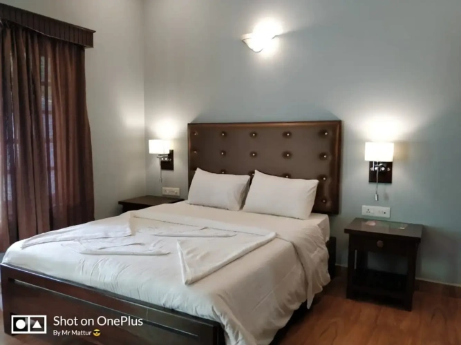 1 Bedroom Deluxe Double room with balcony and with garden view