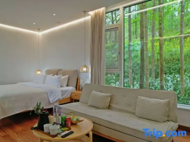 Standard Double room with garden view