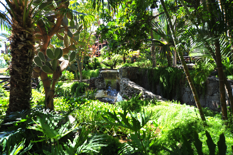 Parque Tropical photo 21