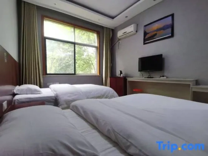 Premium Twin room