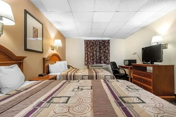 Quadruple Suite