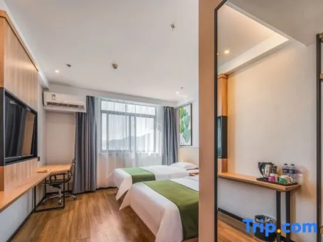 Business Double room with street view