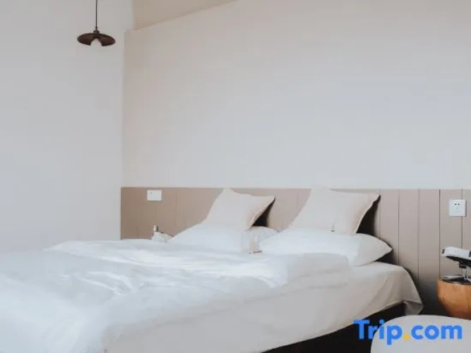 1 Bedroom Standard Double room