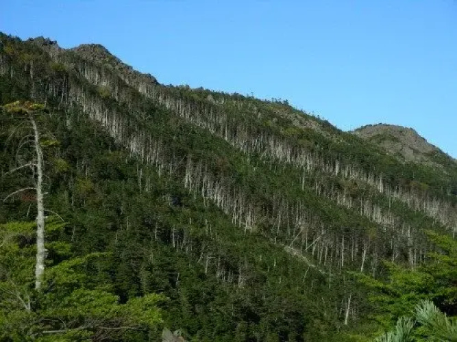Shirakaba Kohan No Yado Kohu