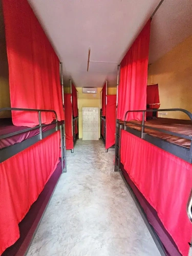 Bed in Dorm