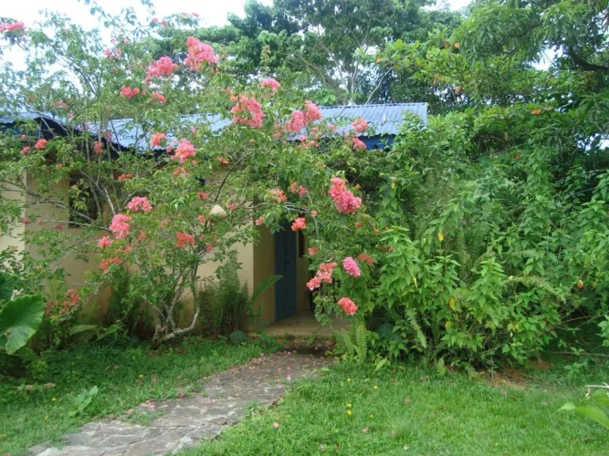 Economy Double room with balcony and with view