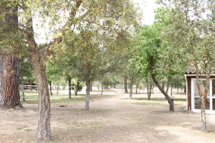 Outside