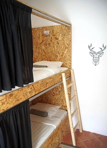 Bed in Dorm