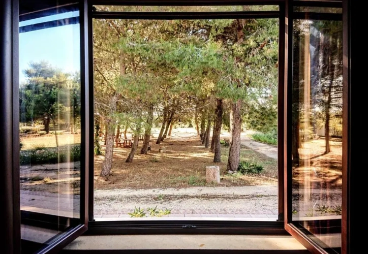 Standard Quadruple room with garden view