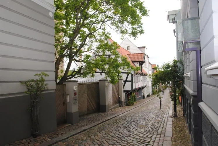 1 Bedroom Apartment