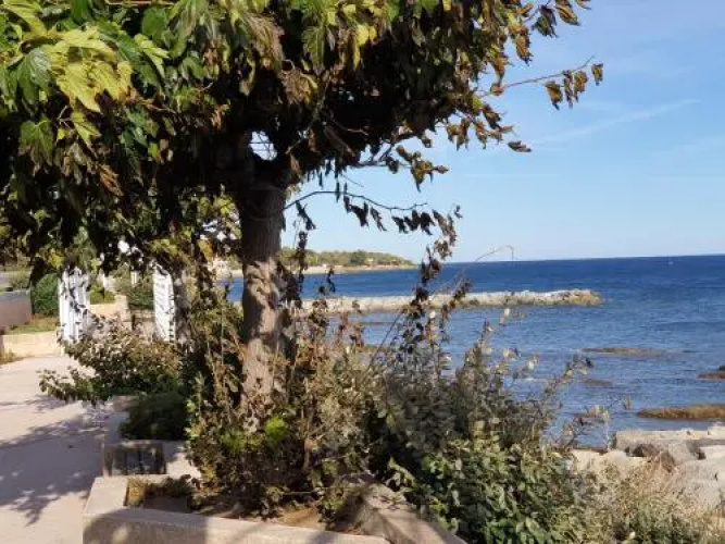 Villa Le Sud