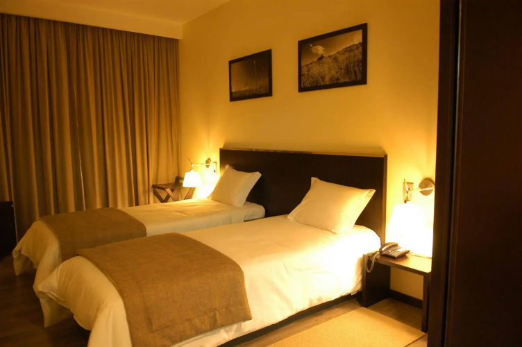 Hotel S Pedro – Arouca