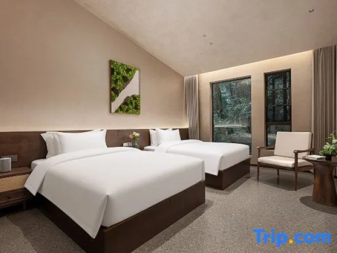 Family Duplex Suite