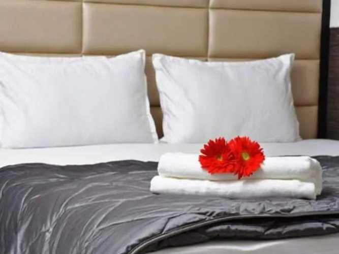 Hotel apple Inn Bharuch