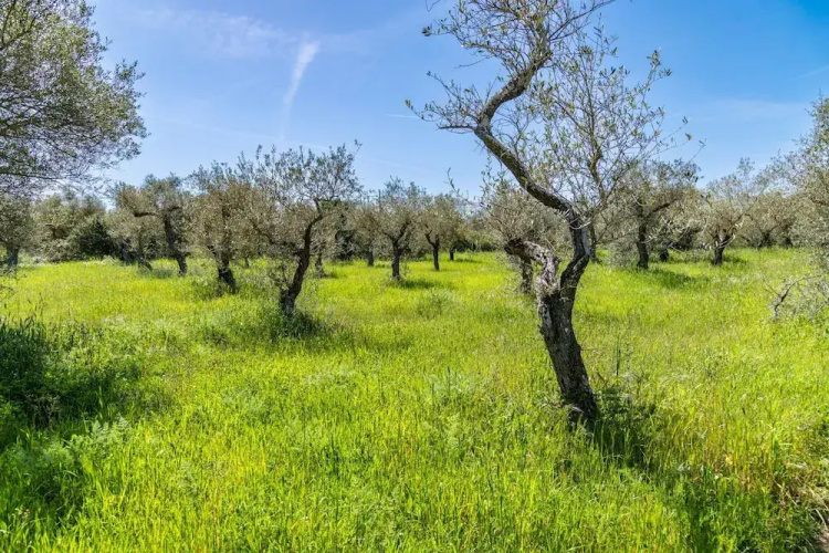 Sardinia Re - Casa Baingio