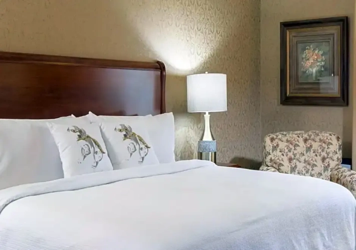 Superior Quadruple room with view