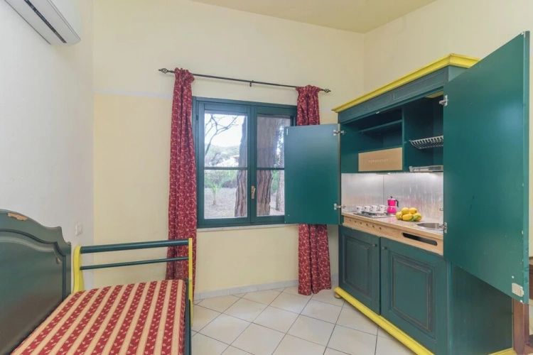 1 Bedroom Standard Apartment