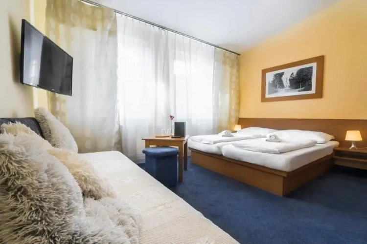 Standard Single room