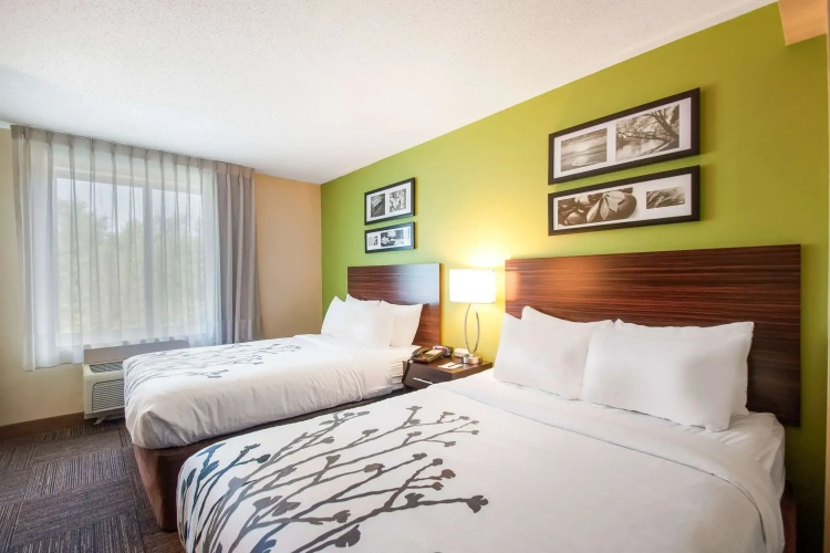 Quadruple Suite